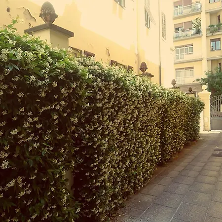 Hotel Della Robbia